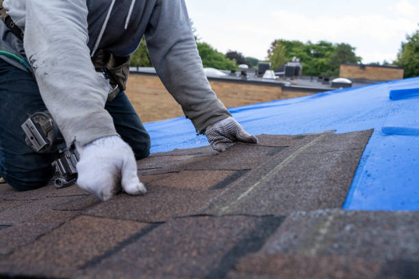 Best Storm Damage Roof Repair  in Rustburg, VA