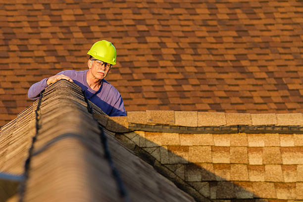 Best Roof Gutter Cleaning  in Rustburg, VA